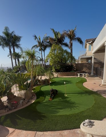 Turf and landscaping in LA County, CA